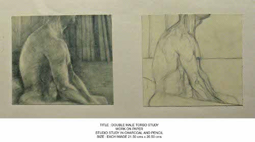 Male double  nude drawing, torso